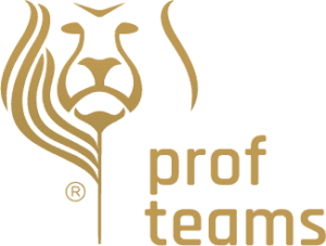 Logo_team_profteams